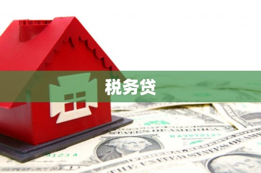通许税务贷