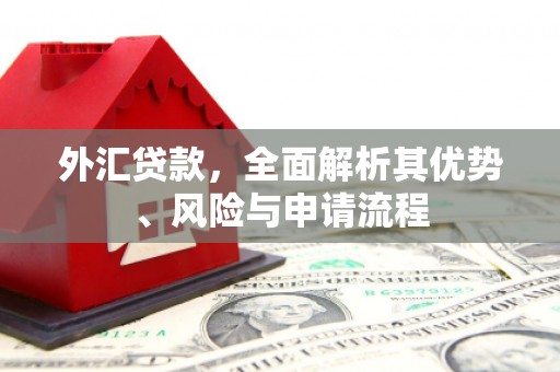 通许外汇贷款，全面解析其优势、风险与申请流程