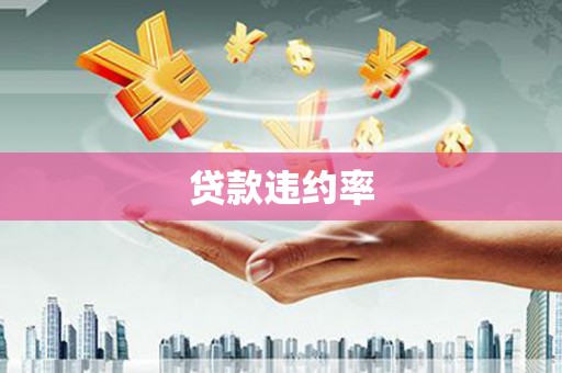 通许贷款违约率