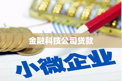 通许金融科技公司贷款