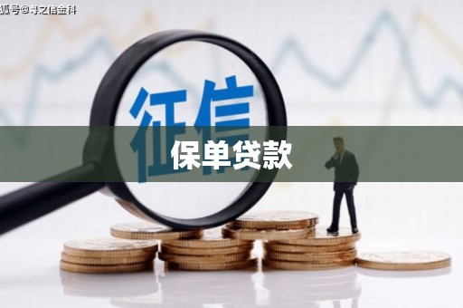 通许保单贷款