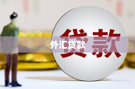通许外汇贷款