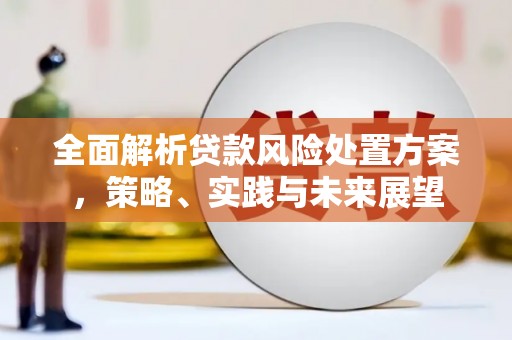 通许全面解析贷款风险处置方案，策略、实践与未来展望