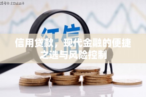 通许信用贷款，现代金融的便捷之选与风险控制