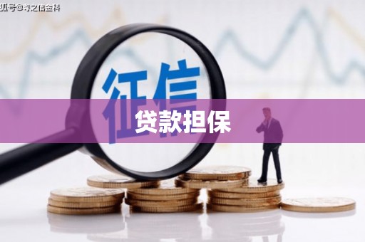 通许贷款担保