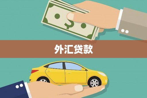 通许外汇贷款