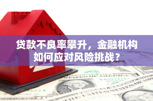 通许贷款不良率攀升，金融机构如何应对风险挑战？