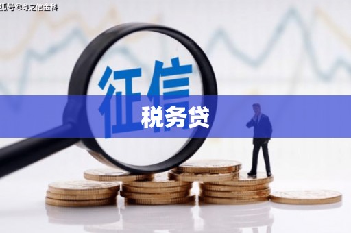 通许税务贷