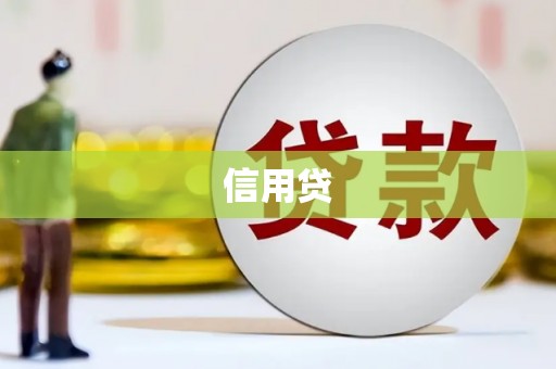 通许信用贷