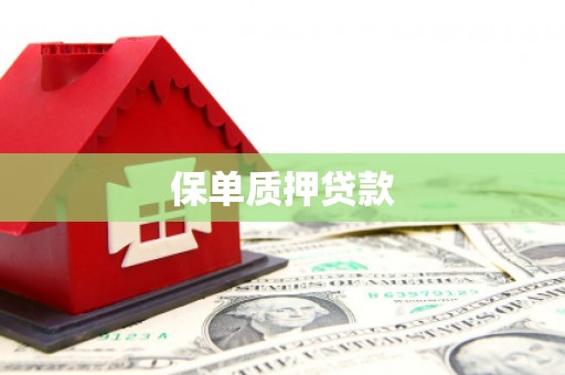 通许保单质押贷款