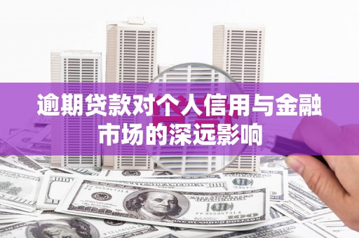 通许逾期贷款对个人信用与金融市场的深远影响