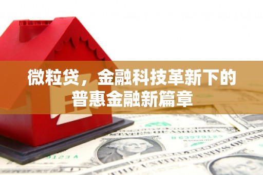 通许微粒贷，金融科技革新下的普惠金融新篇章