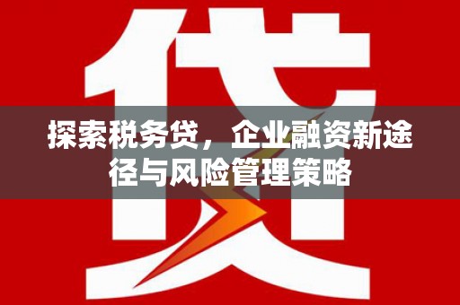 通许探索税务贷，企业融资新途径与风险管理策略