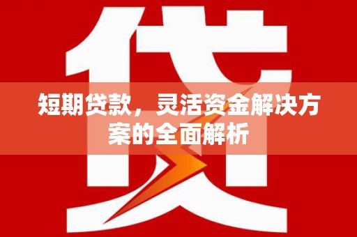 通许短期贷款，灵活资金解决方案的全面解析