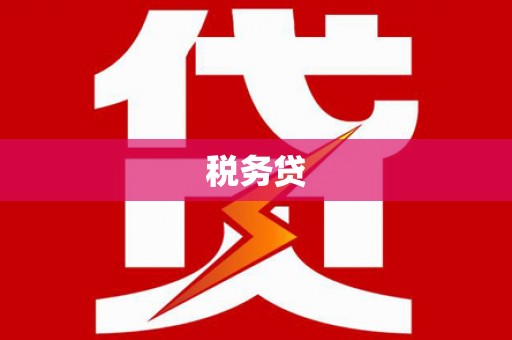 通许税务贷