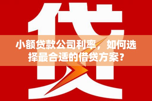通许小额贷款公司利率，如何选择最合适的借贷方案？