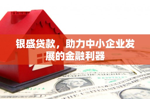 通许银盛贷款，助力中小企业发展的金融利器