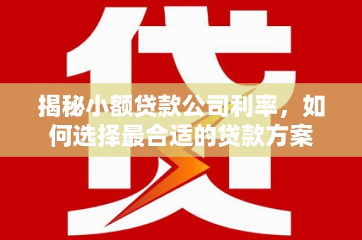 通许揭秘小额贷款公司利率，如何选择最合适的贷款方案