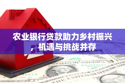 通许农业银行贷款助力乡村振兴，机遇与挑战并存
