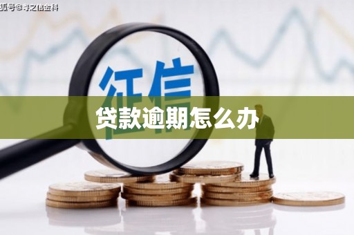通许贷款逾期怎么办
