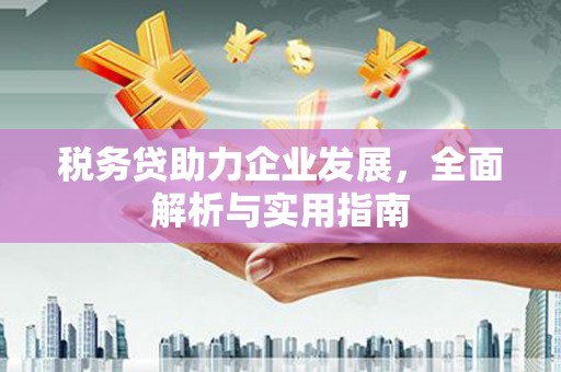 通许税务贷助力企业发展，全面解析与实用指南