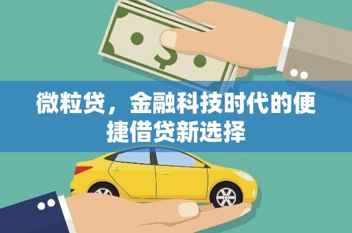通许微粒贷，金融科技时代的便捷借贷新选择
