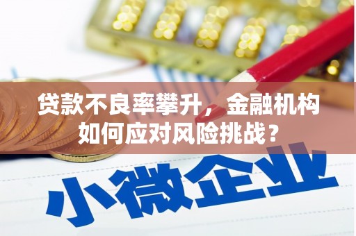 通许贷款不良率攀升，金融机构如何应对风险挑战？